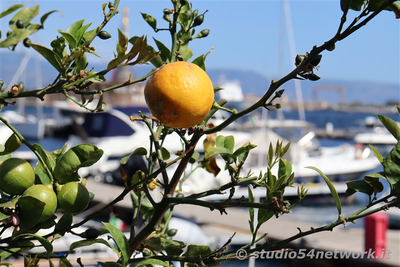 Un appuntamento unico, suggestivo ed esclusivo, per un intero weekend, sullo Stretto di Messina. E' Vele dello Stretto 2023