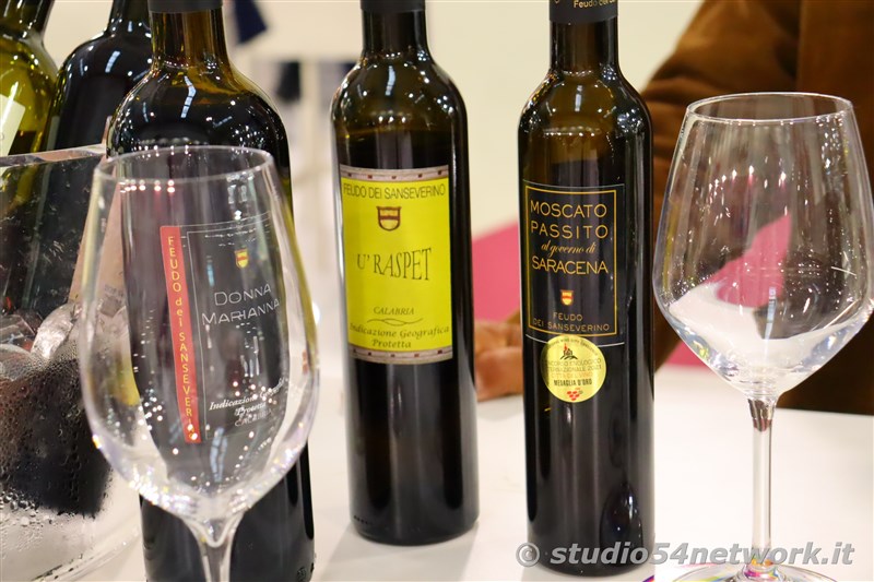 Verona capitale del Vino, con Vinitaly e Vinitaly and the city, su Studio54network, con FEAMP! 